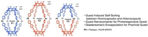 Cavitand‐based Pd‐pyridyl Coordination Capsules Guest‐induced Homo‐ Or Heterocapsule Selection