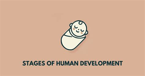 Stages of human development Archives