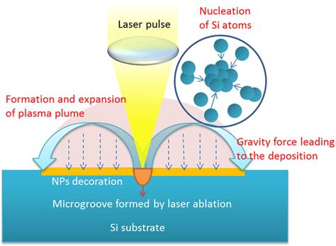 Pulsed Laser Ablation Dynamics For Micro Nano Structures Generation