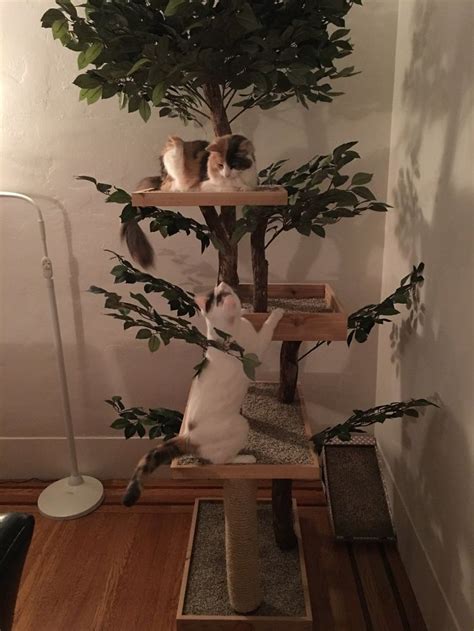 Indoor Cat Towers That Look Like Real Trees Are A Thing And Theyre