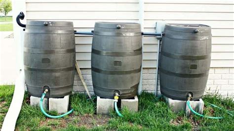 Best Rain Barrels For Harvesting Rainwater And How To Use Guide