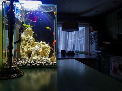 Guide To Aquarium Glass Options