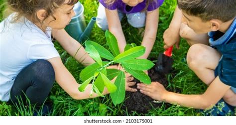 2 814 788 imágenes de Arboles niños Imágenes fotos y vectores de