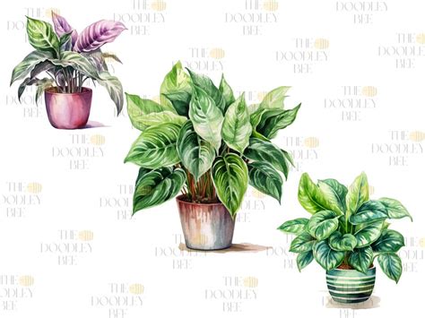 Watercolor House Plants Clipart Bundle House And Garden Etsy