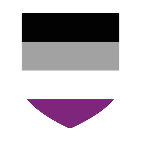 Asexual Pride Flag International Asexual Pride Flag 24536961 Vector