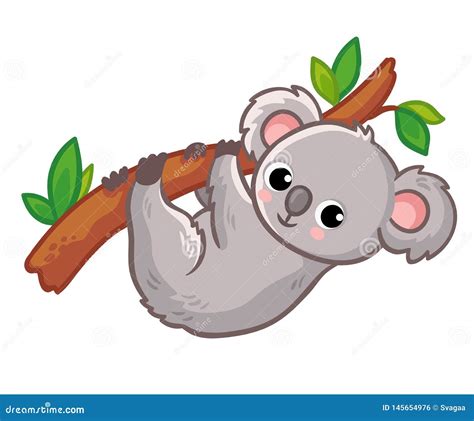 Koala Hangs On A Tree On A White Background. Cute Australian Animal In ...