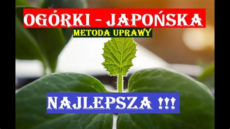 Og Rki Japo Ska Metoda Siewu Nasion Youtube