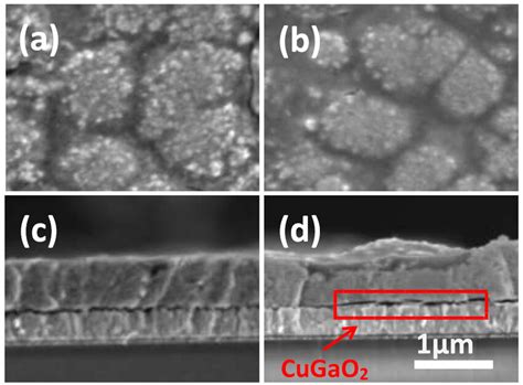 The Surface And Cross Section SEM Images Of CuInS2 A And C And