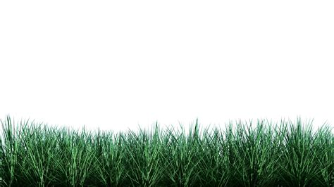 Isolated lawn on white,grass background with alpha channel 24795198 ...