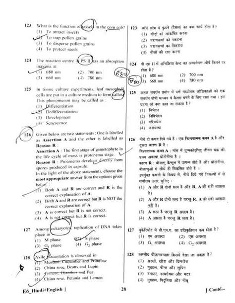 Neet 2023 Question Paper Available Download Neet Ug Paper Pdf Set Wise