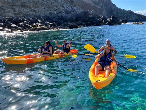 Madeira Sea Emotions - Whale and Dolphin Watching