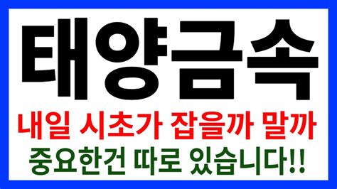 주식 태양금속 내일 시초가 잡을까 말까 중요한건 따로 있습니다 YouTube