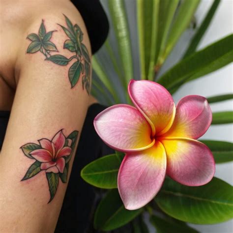 plumeria tattoo meaning symbolism colors  placement