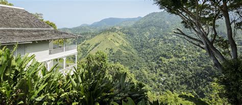 Strawberry Hill Hotel: About Our Luxury Resort - Blue Mountains Jamaica