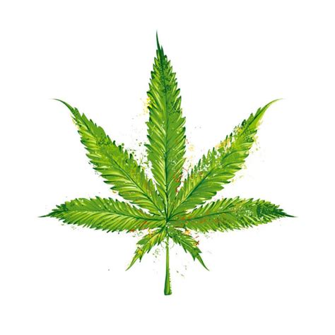 Marijuana Leaf Drawing Step By Step at GetDrawings | Free download