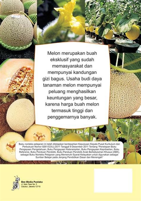 Panduan Praktis Budidaya Melon Bee Media