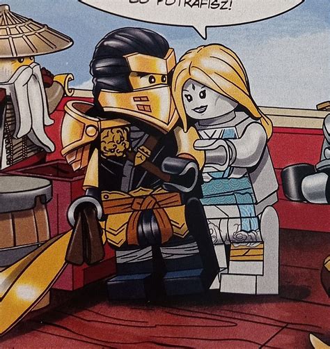 Two Gay Ppl Lego Ninjago Nya Ninjago Cole Tmnt Legos Rock Painting