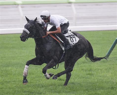 ナムラクレア順調仕上がり 浜中騎手を背に1週前追い「健康状態も良さそう」／キーンランドc 競馬写真ニュース 日刊スポーツ