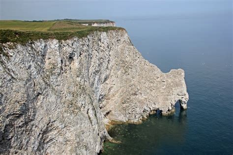 Wildlife and Landscapes: RSPB Bempton Cliffs