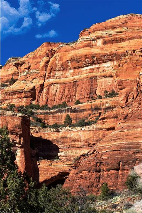 Fay Canyon In The Red Rocks Of Sedona Arizona Green Juniper Are