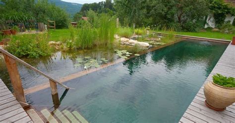 Piscine naturelle ou biologique pour une baignade écologique