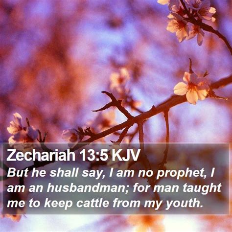 Zechariah 13 5 Kjv But He Shall Say I Am No Prophet I Am An