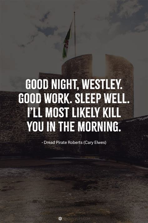 25 Inconceivable Princess Bride Quotes - Bright Drops