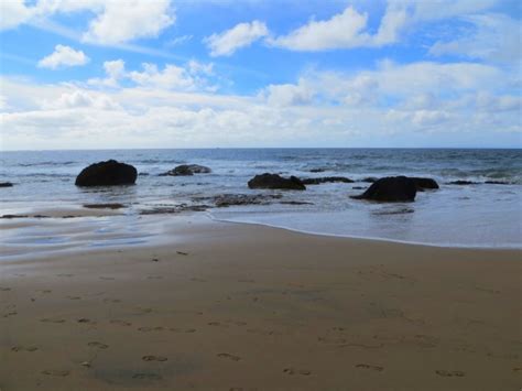 Reef Point Beach At Crystal Cove State Park In Laguna Beach Ca