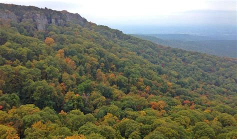 Magazine Mountain Arkansas Us Highpoint Guide