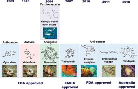 Full Article Have Marine Natural Product Drug Discovery Efforts Been