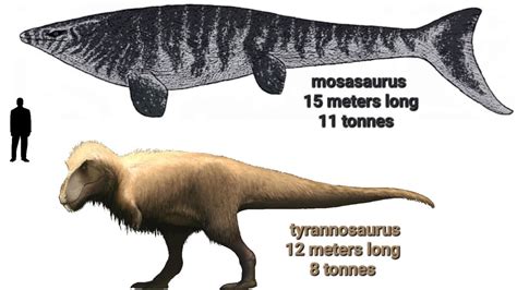 trex and mosasaurus size comparison - YouTube