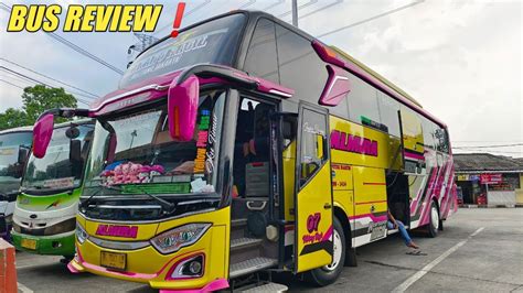 Bus Review Almira Jetbus Voyager Jakarta Belitang Lampung Anak