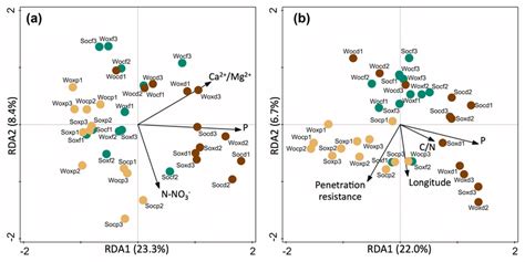 Distance Based Redundancy Analysis Rda Of Soil Microbial Communities