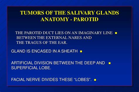 Ppt Malignant Salivary Gland Tumors Powerpoint Presentation Id Hot Sex Picture