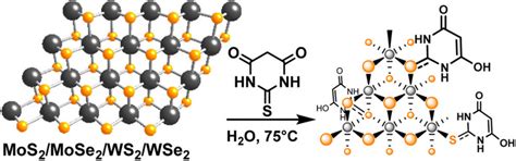 Schematic Illustration Of MoS 2 CS Nanosheets As A NIR Photothermal