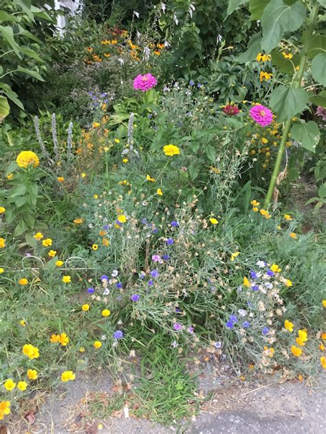 PM Water Cooler Naked Capitalism