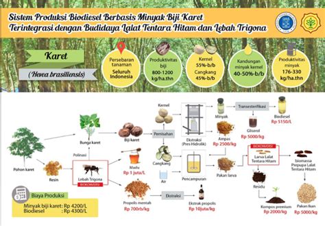 Sosialisasikan Pemanfaatan Biji Karet Secara Biorefinery Di Kabupaten