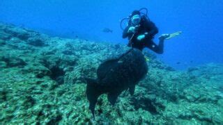 Scuba Diving In The Azores Everything You Need To Know