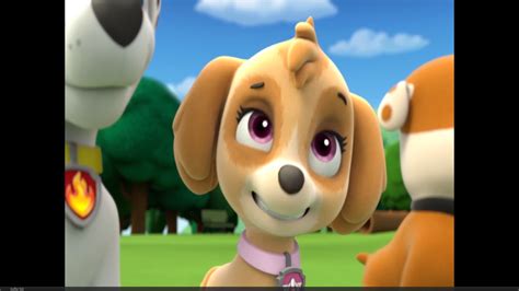 Skye PAW Patrol Photo 40263692 Fanpop Page 19