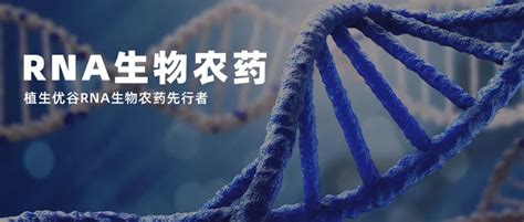 植生优谷官网 Dsrna、 Rnai 农药、dsrna合成定制