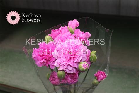 PALE PURPLE SIM CARNATIONS PER BUNCH Keshava Flowers