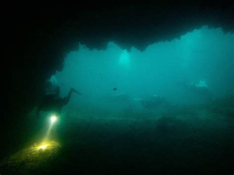 Diving Catalina Midnight Hour Wreck Blue Caverns And Big Geiger With The