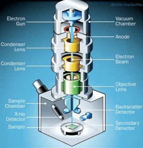 Schematic Representation Of Scanning Electron Microscope