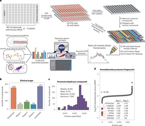 A 96 Well Plate Based Platform For Comprehensive Proteome Analysis Of