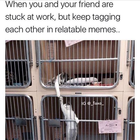 When You And Your Friend Are Stuck At Work But Keep Tagging Each Other In Relatable Memes Funny