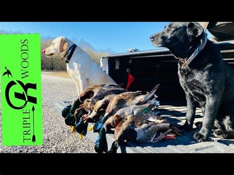 Arkansas Public Land Duck Hunt Ice Hole Man Limit Youtube