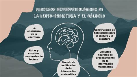 Procesos neuropsicológicos de la lecto escritura y el cálculo by Leidy