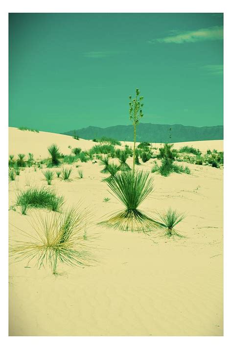 White Sands National Monument Photograph By Svilenka Dankova Fine Art