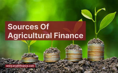 Source Of Agriculture Finance 11 Sources Discussed