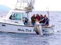 Biggame It Pesca In Drifting Al Tonno Isola D Elba Alto Tirreno